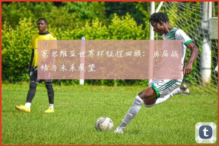 塞尔维亚世界杯征程回顾：历届战绩与未来展望
