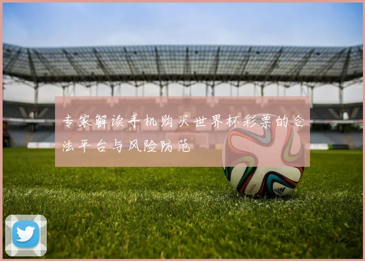 专家解读手机购买世界杯彩票的合法平台与风险防范