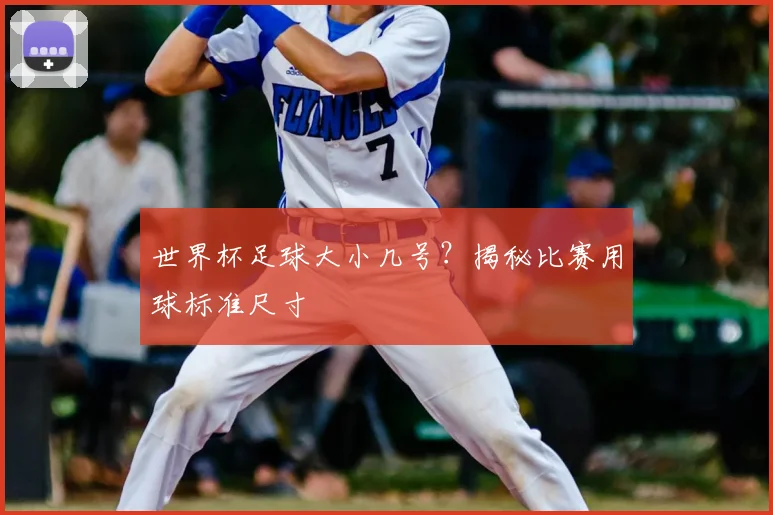 世界杯足球大小几号？揭秘比赛用球标准尺寸