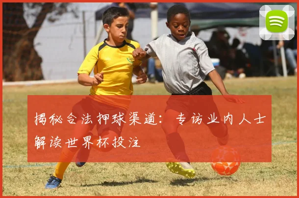 揭秘合法押球渠道：专访业内人士解读世界杯投注