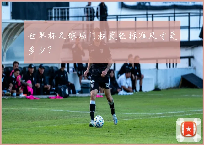 世界杯足球场门柱直径标准尺寸是多少？