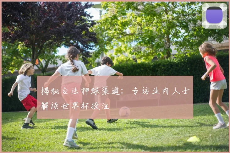 揭秘合法押球渠道：专访业内人士解读世界杯投注
