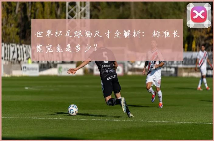 世界杯足球场尺寸全解析：标准长宽究竟是多少？